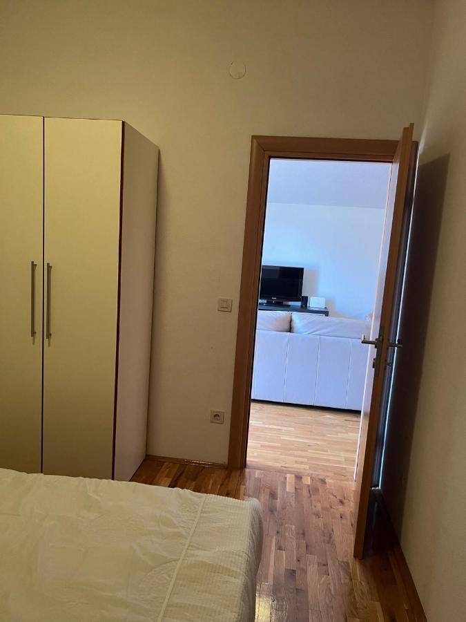 Villa Paludo Novigrad  Buitenkant foto