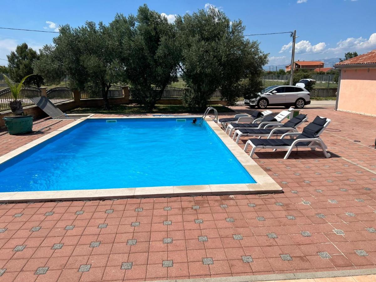 Villa Paludo Novigrad  Buitenkant foto