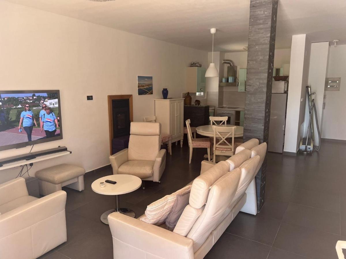 Villa Paludo Novigrad  Buitenkant foto
