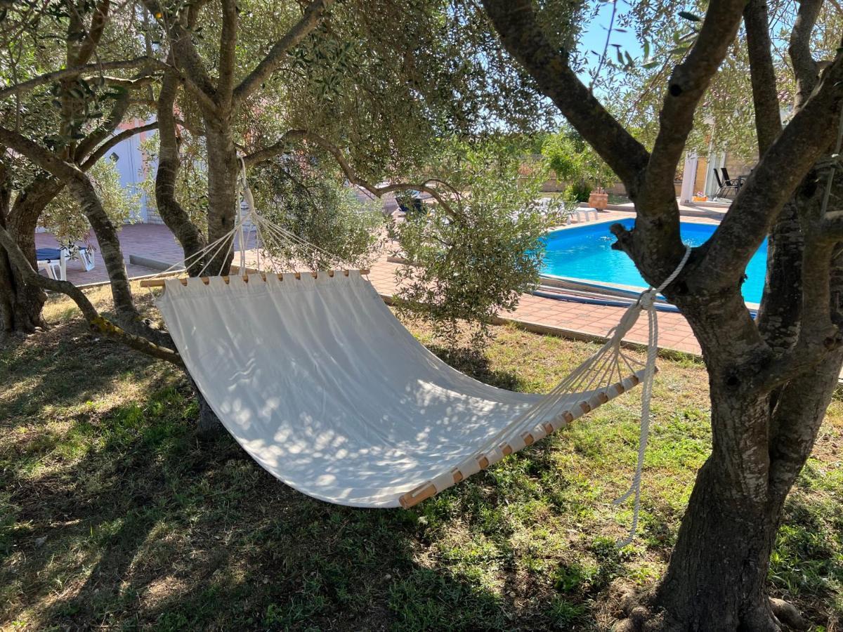 Villa Paludo Novigrad  Buitenkant foto