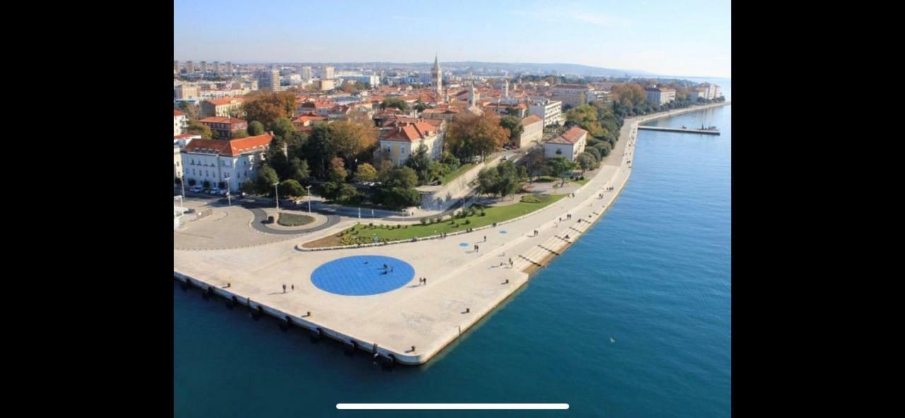 Villa Paludo Novigrad  Buitenkant foto